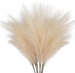 beige color faux pampas grass